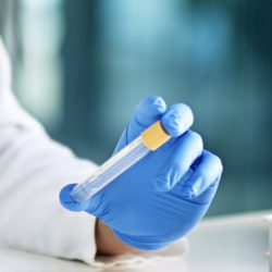 Legal DNA Relationship Testing